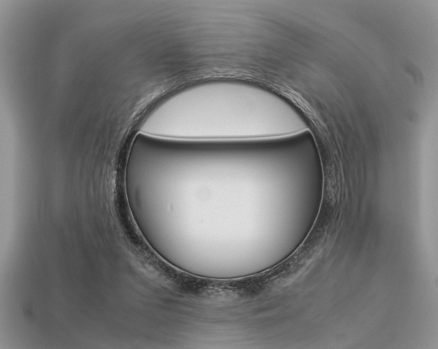 X0000113220207200909100929