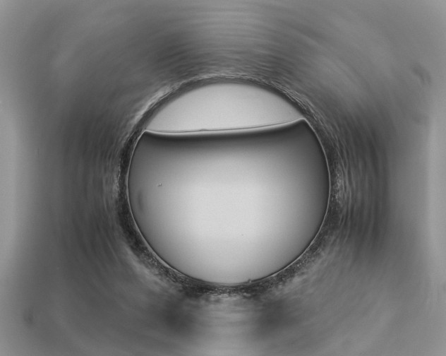 X0000113220208200909100929