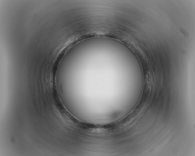 X0000113220212200909100929