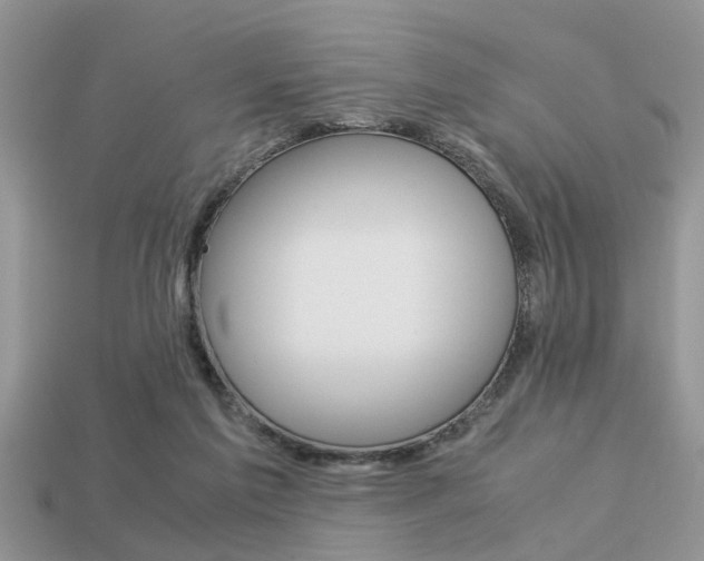 X0000113220213200909100929