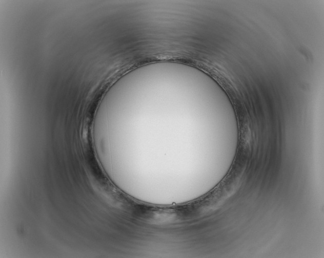 X0000113220214200909100929