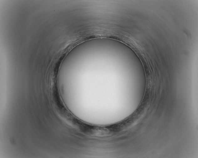 X0000113220215200909100929