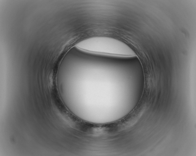 X0000113220216200909100929