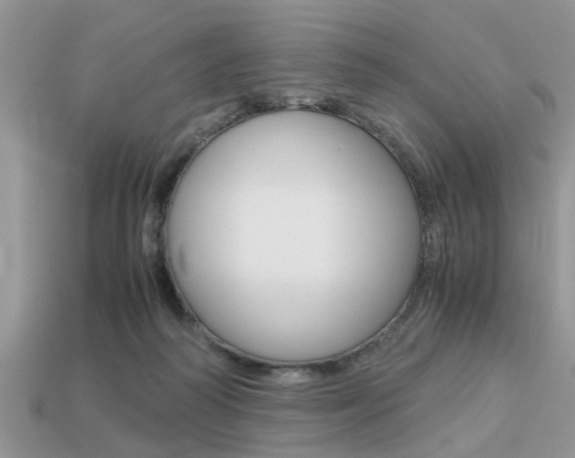 X0000113220218200909100929