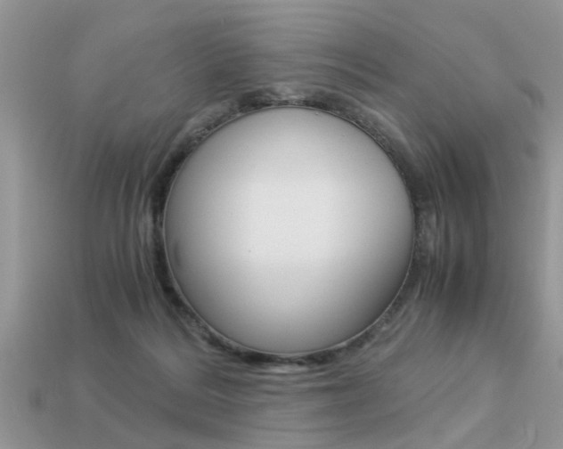 X0000113220220200909100929