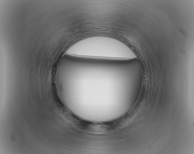 X0000113220221200909100929
