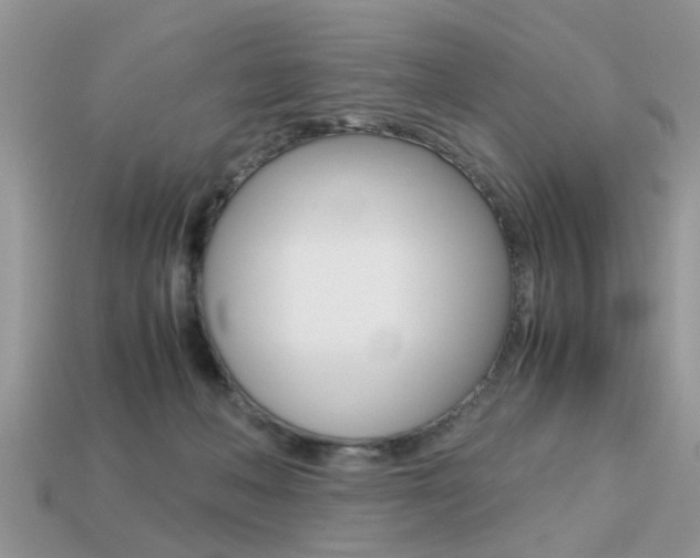 X0000113220222200909100929