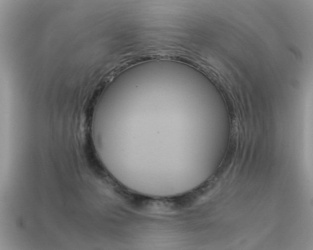 X0000113220223200909100929