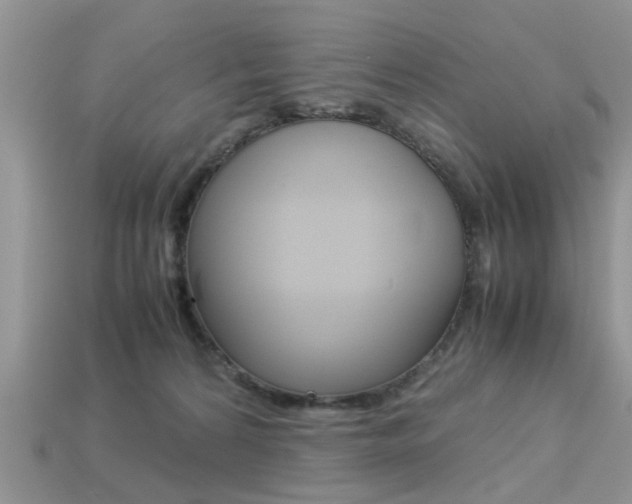X0000113220224200909100929