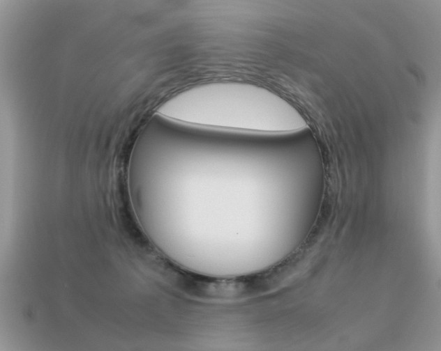 X0000113220225200909100929