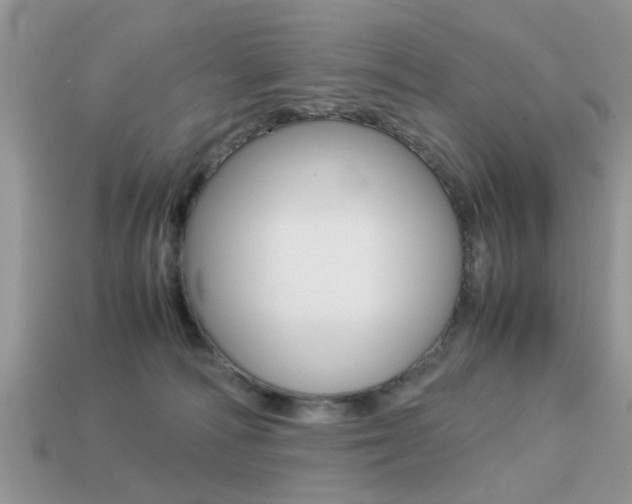X0000113220226200909100929