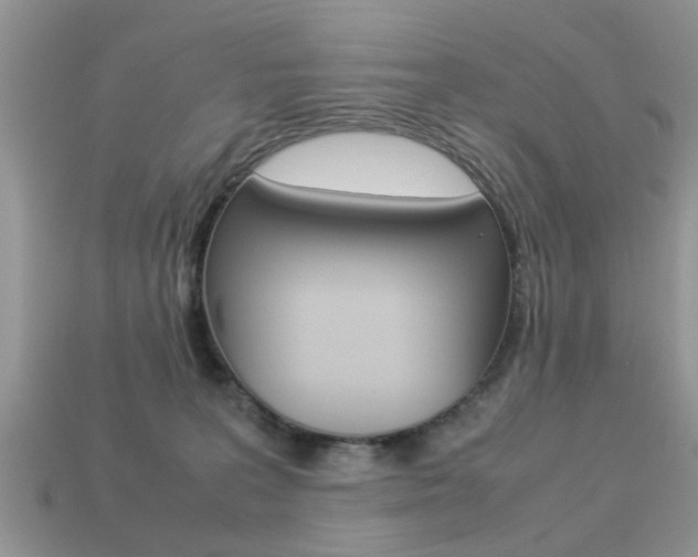 X0000113220227200909100929
