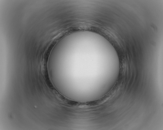 X0000113220228200909100929