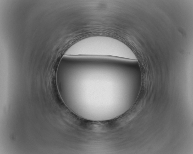 X0000113220229200909100929