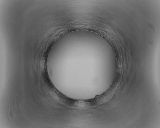 X0000113220231200909100929