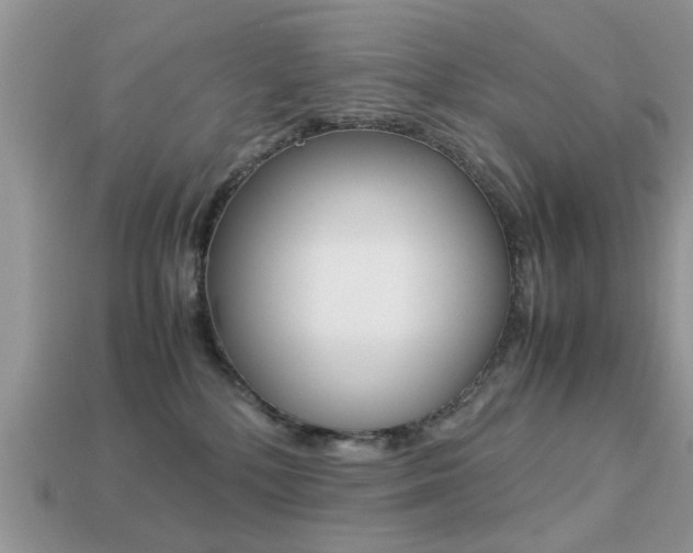 X0000113220232200909100929