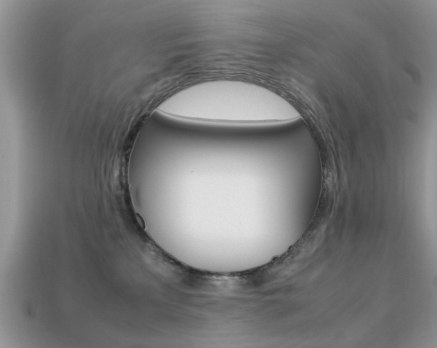 X0000113220233200909100929