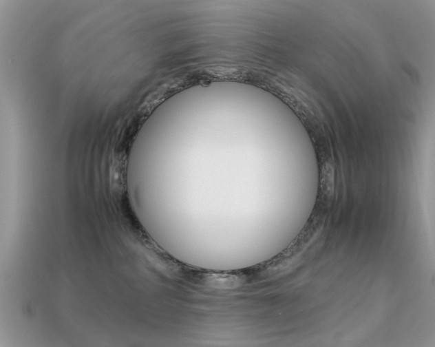 X0000113220234200909100929