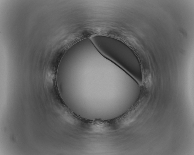 X0000113220235200909100929