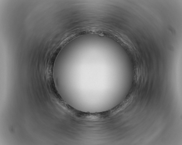 X0000113220236200909100929