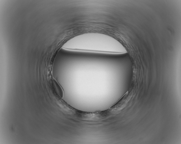 X0000113220237200909100929