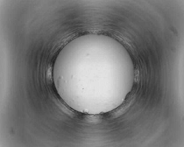 X0000113220238200909100929