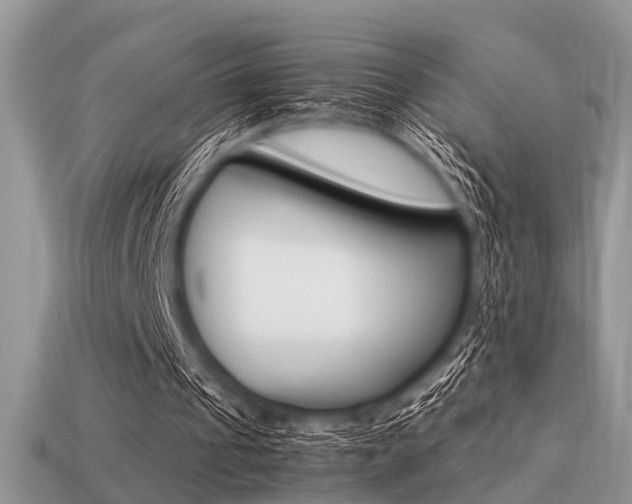 X0000113220241200909100928