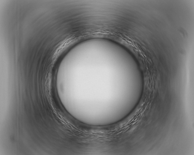X0000113220242200909100928