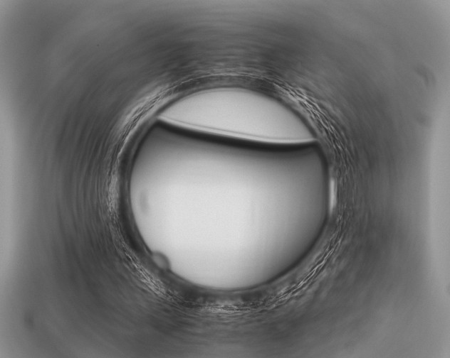 X0000113220243200909100928