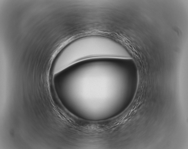 X0000113220244200909100928