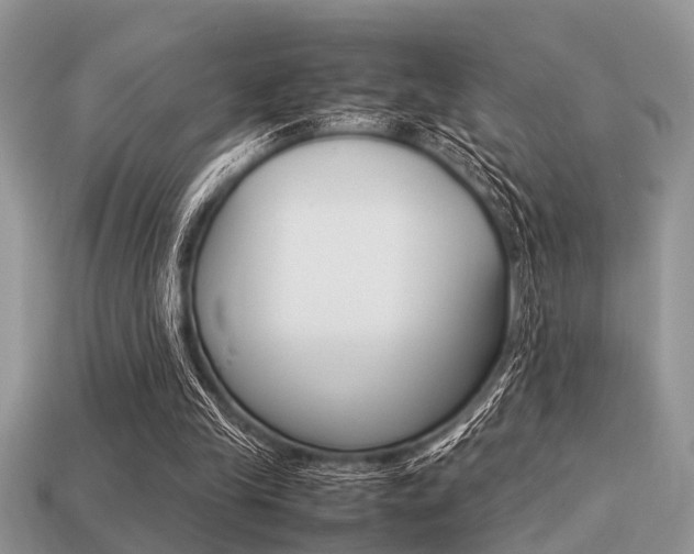 X0000113220245200909100928