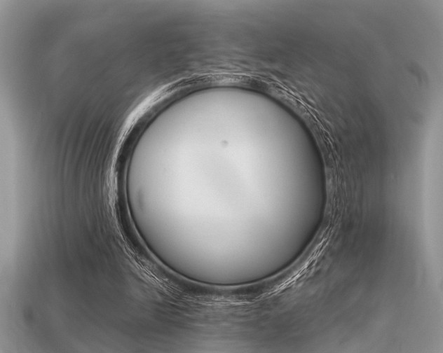 X0000113220246200909100928