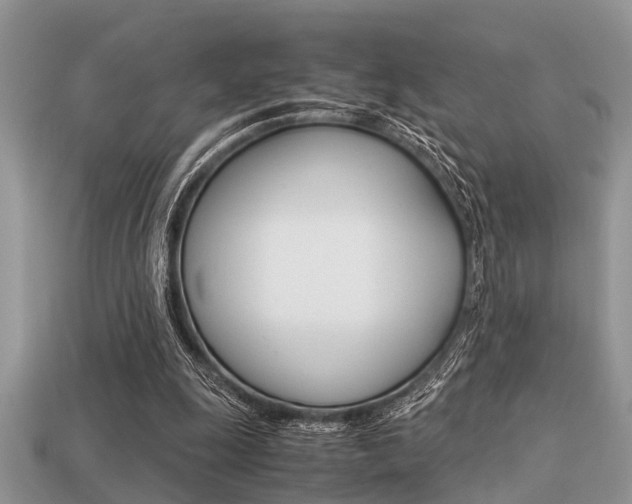 X0000113220247200909100928