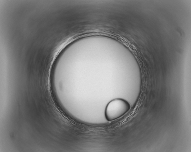 X0000113220248200909100928