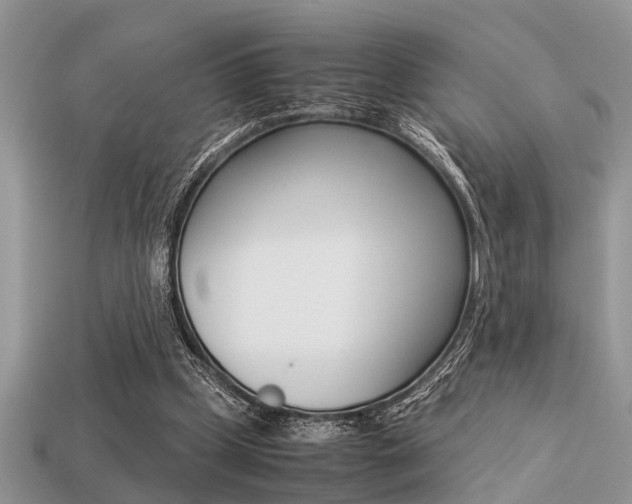 X0000113220249200909100928