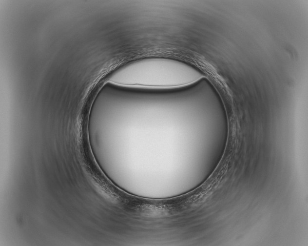 X0000113220250200909100928