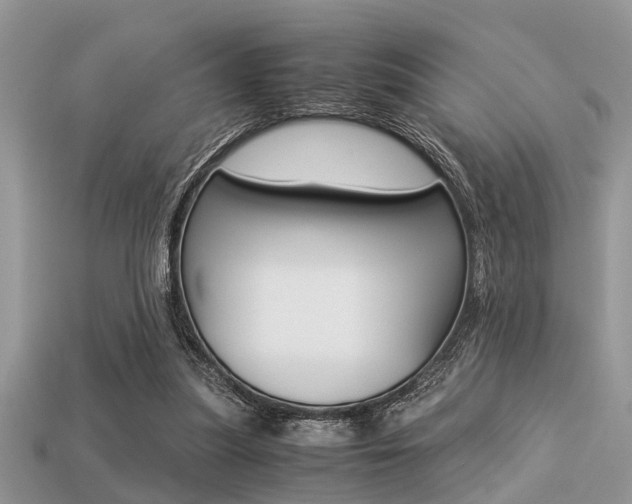 X0000113220251200909100928
