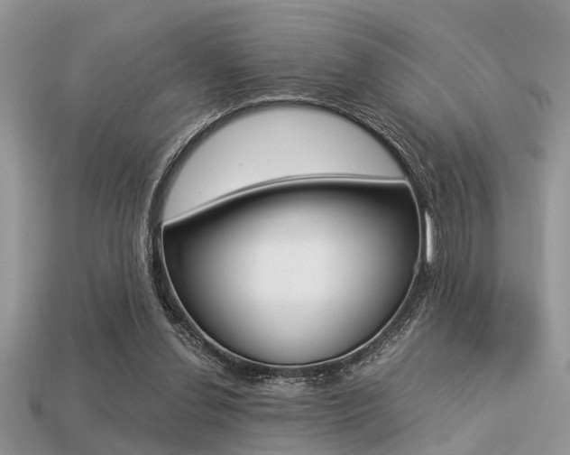 X0000113220252200909100928