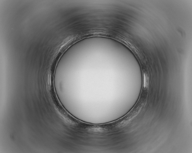 X0000113220253200909100928