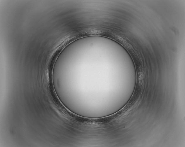 X0000113220254200909100928