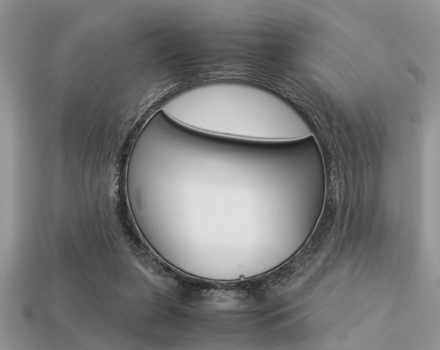 X0000113220255200909100928
