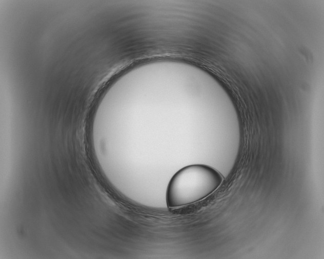 X0000113220256200909100928