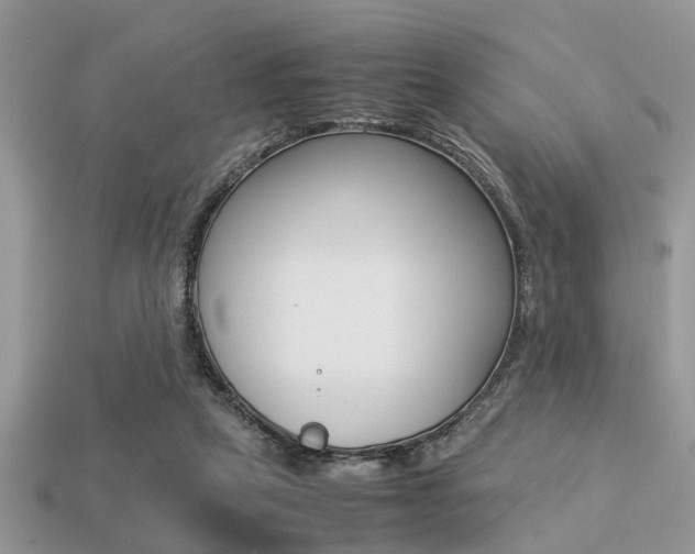X0000113220257200909100928