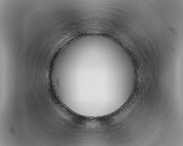 X0000113220258200909100928