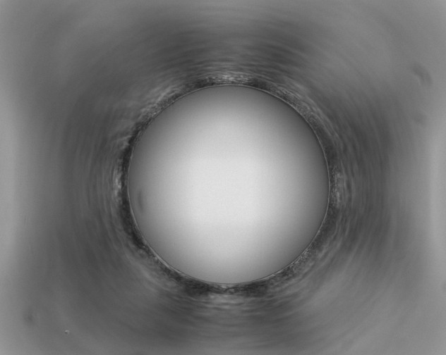 X0000113220259200909100928