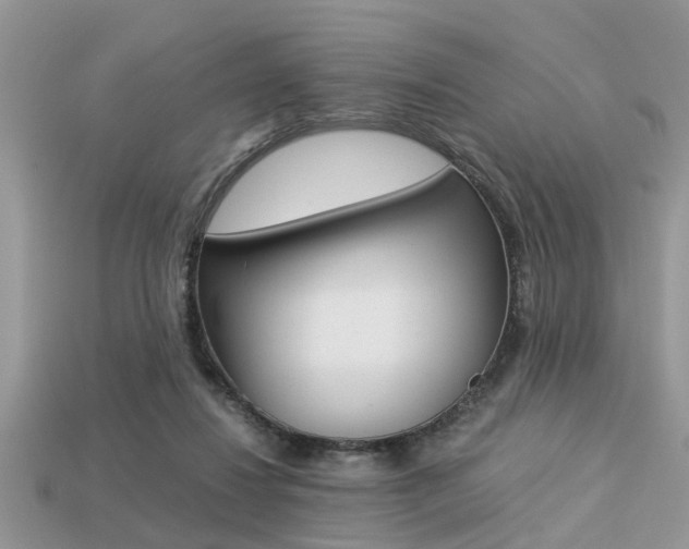 X0000113220260200909100928