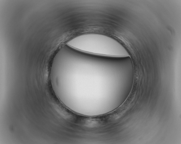 X0000113220261200909100929