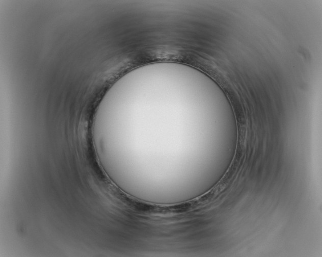 X0000113220263200909100929