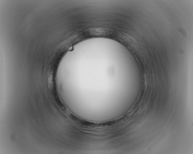 X0000113220267200909100929