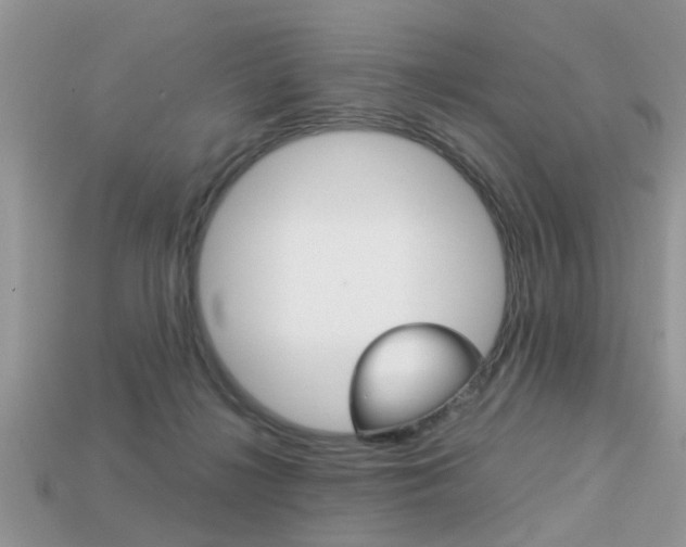 X0000113220268200909100929